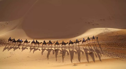 เข้าร่วมคาราวาน!