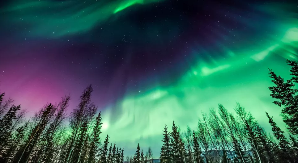 มาดูไฟโพลาร์กัน