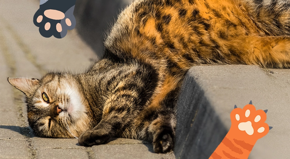 เสียงเพอร์ของเพื่อนๆ