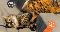 เสียงเพอร์ของเพื่อนๆ