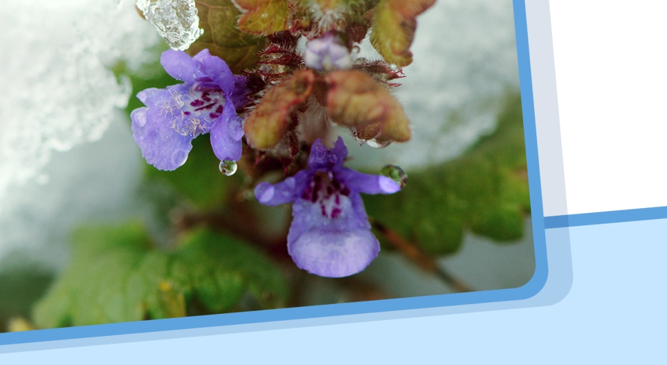 สสารและการเปลี่ยนสถานะของสสาร