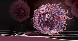 มะเร็ง: การวินิจฉัยโรคที่น่าหวาดกลัว