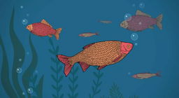 ปลาดื่มน้ำหรือไม่