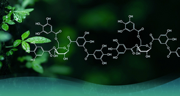 การพัฒนาเคมีอินทรีย์