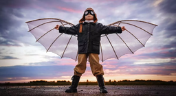 มนุษย์พิชิตอากาศได้อย่างไร