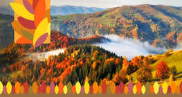 ฤดูใบไม้ร่วง