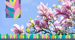 ฤดูใบไม้ผลิ