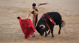 วัวมองเห็นเสื้อคลุมสู้วัวกระทิงได้อย่างไร - การมองเห็นของสัตว์