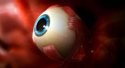 เรามองเห็นได้อย่างไร ดวงตาของมนุษย์