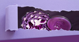 ชวนมาทำอินดิเคเตอร์จากกะหล่ำปลีม่วงกัน