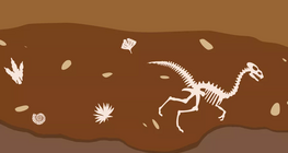 ชีวิตพัฒนาบนโลกได้อย่างไร