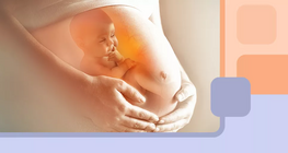 จะเกิดอะไรขึ้นกับร่างกายผู้หญิงในระหว่างตั้งครรภ์