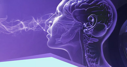 เซ็นเซอร์และตัวรับ