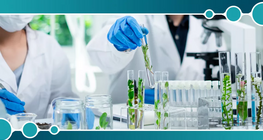 การออสโมซิสย้อนกลับ