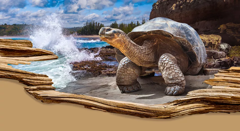 สายพันธุ์ที่มีอายุยืนยาวที่สุด