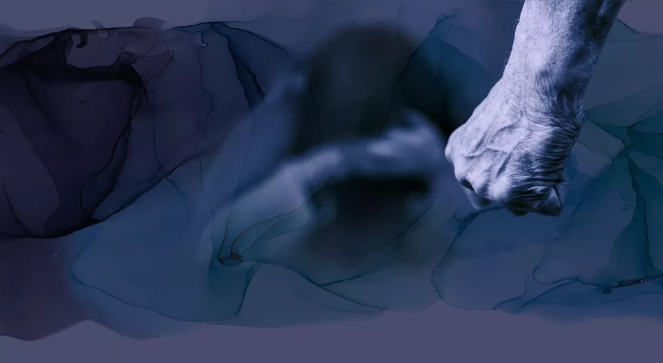 ความสัมพันธ์ที่ใช้ความรุนแรง