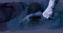 ความสัมพันธ์ที่ใช้ความรุนแรง