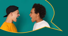 การจัดการความขัดแย้งทางปฏิบัติ