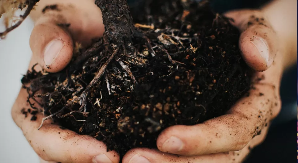 ดินก่อตัวอย่างไร