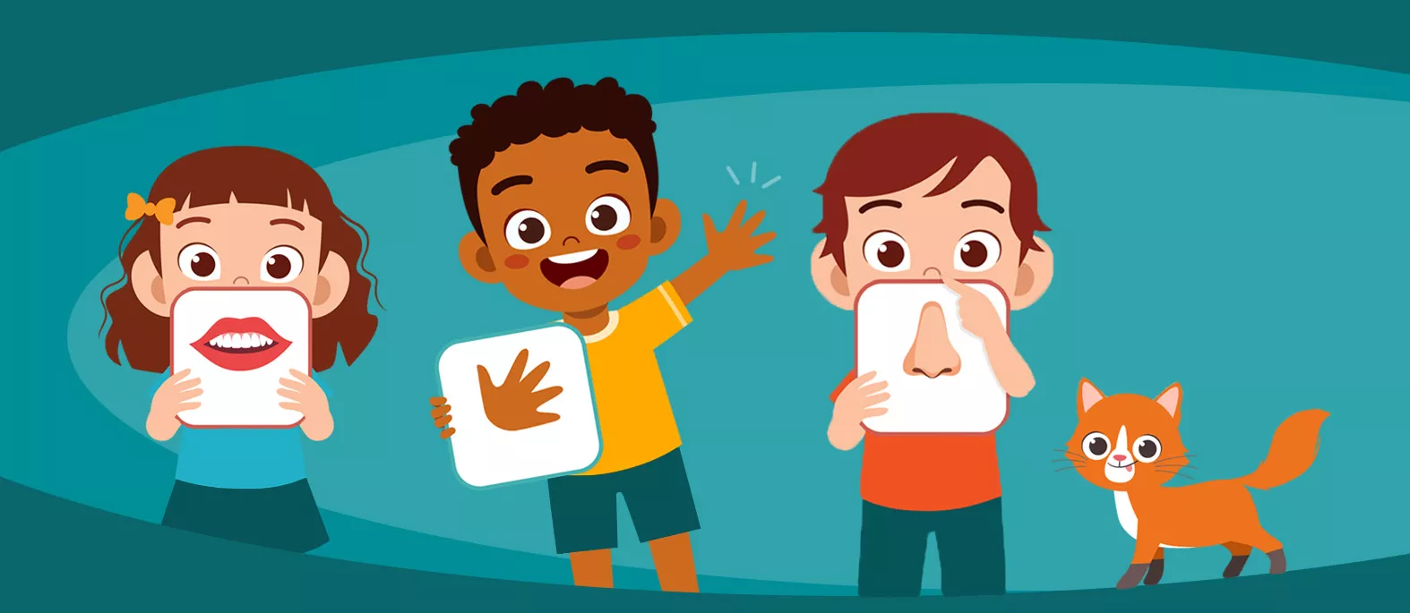 ระบบต่างๆของร่างกาย - อิดิชันนานาชาติ