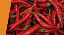 ชื่นชมยินดีในชอบ