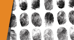 ใครเป็นคนทำ