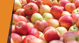 แอปเปิ้ลที่มีกลิ่นคล้ายอัลมอนด์