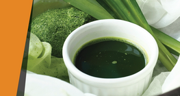 สีของใบไม้