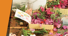 วาดภาพด้วยพืช