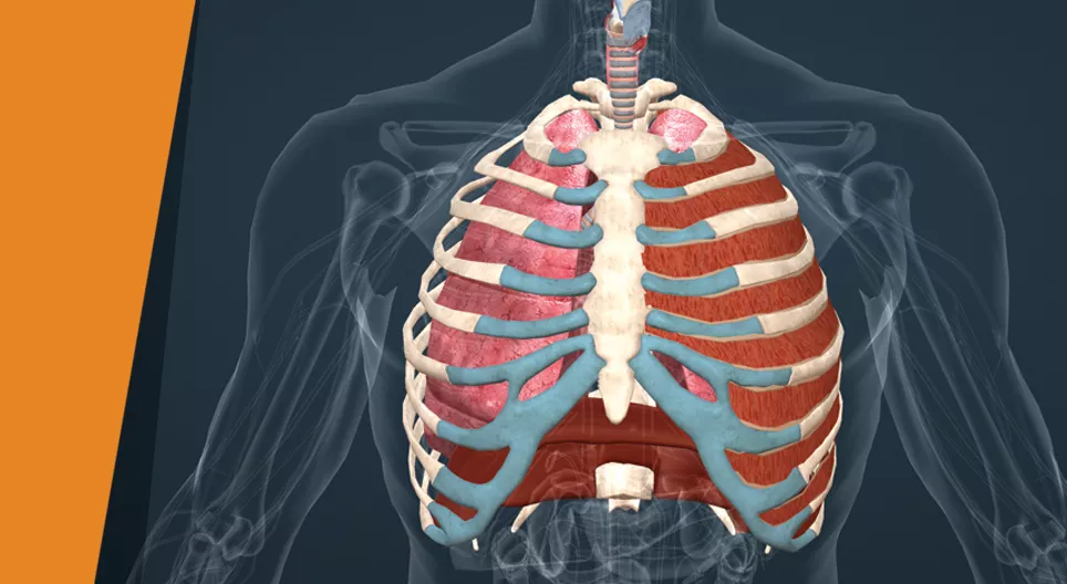 หายใจเข้าลึกๆ