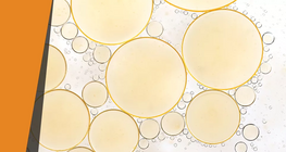 ไขมันที่หายไป