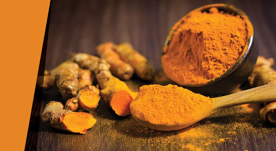 การย้อมสี