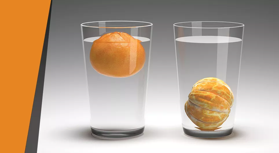 ส้มลอยน้ำ