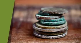 Antique Hungarian forints
