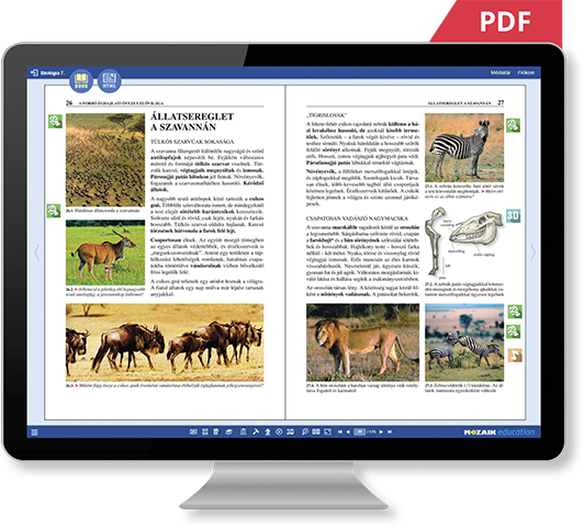 PDF หรือ HTML