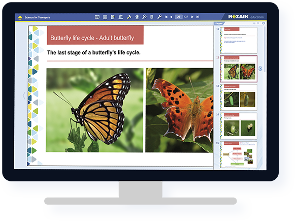 แชร์บน mozaWeb, การซิงโครไนซ์