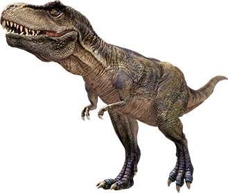 ใช้ในการนำเสนอ