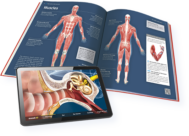 สารานุกรมแบบ 3 มิติ
