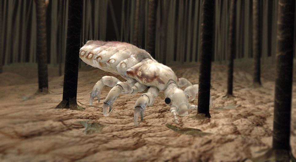 เหา