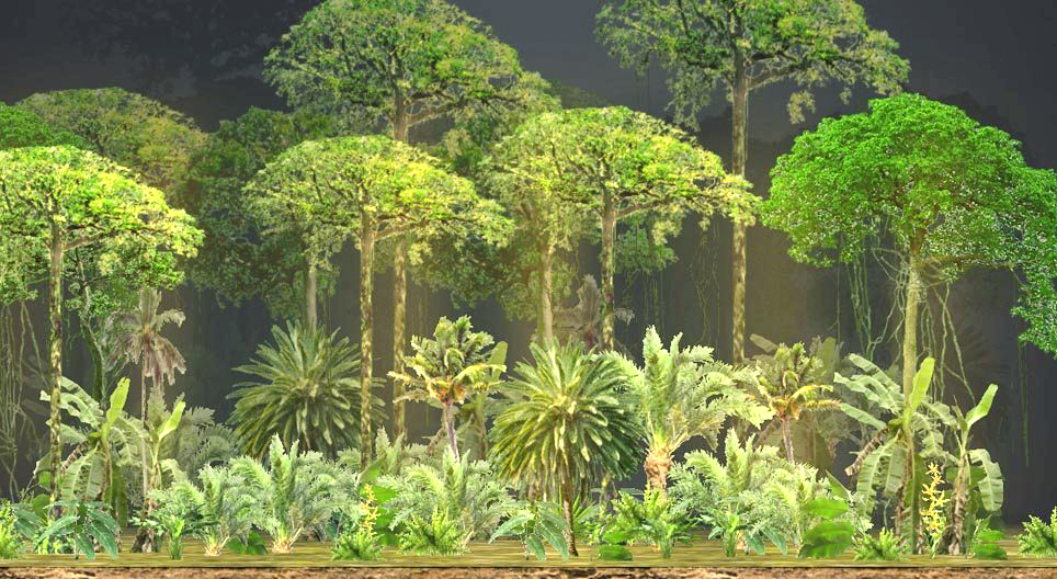 Layers of forests