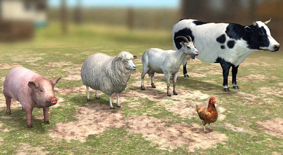 การปศุสัตว์