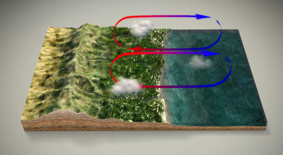 ระบบลมมรสุม