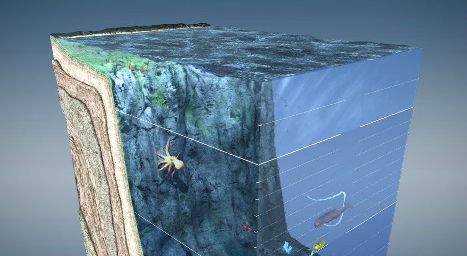 ชั้นของมหาสมุทร