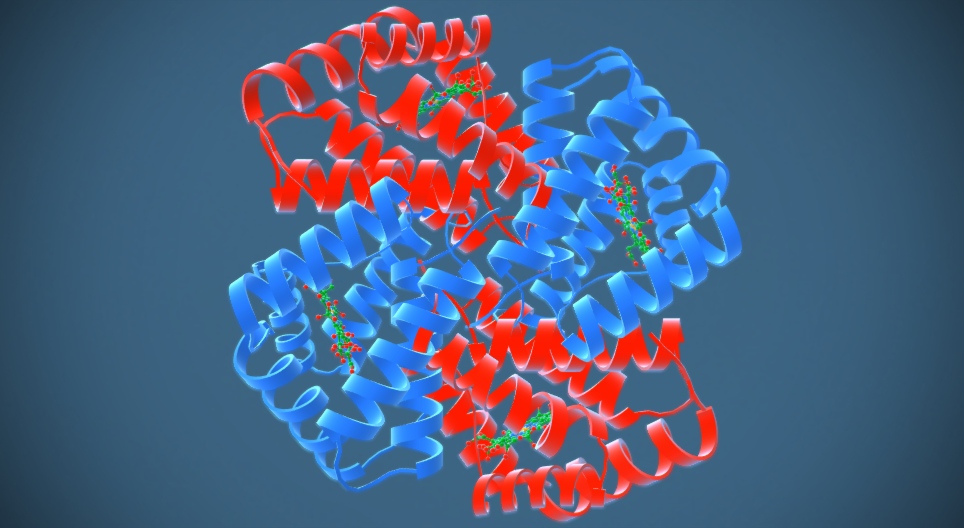 The structure of proteins