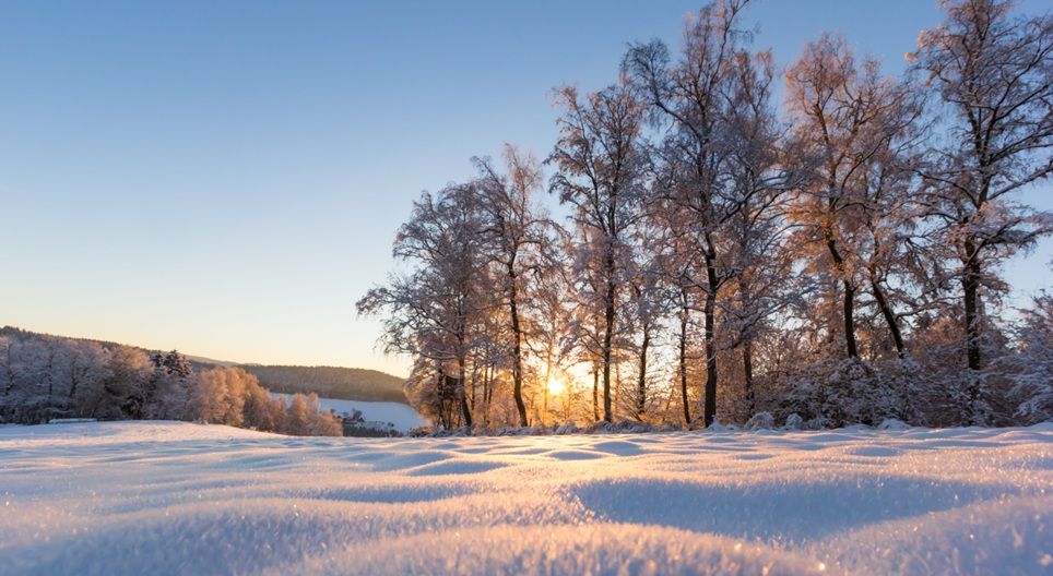 วิดีโอเพื่อการศึกษา