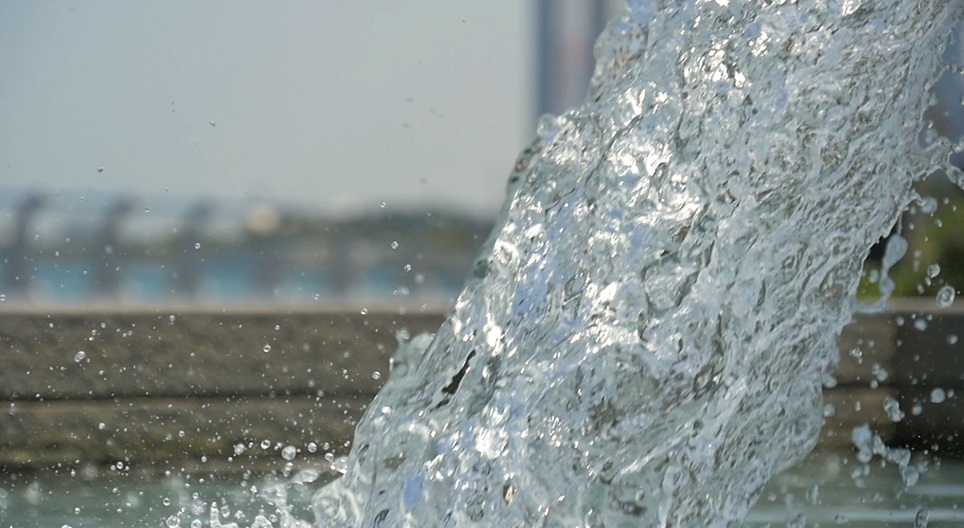 วิดีโอเพื่อการศึกษา