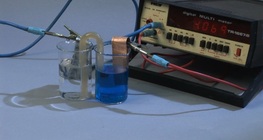 เซลล์แดเนียลล์