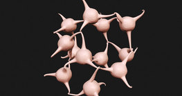 Development of the atomic model