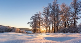 ฤดูหนาว