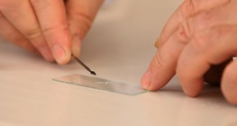 การสุ่มตัวอย่างมันฝรั่งโดยเครื่องขูด